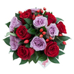 A luxurious, dome-shaped bouquet captured from a slight top-down angle against a clean white backdrop: about a dozen to fifteen fully opened roses cluster tightly together, their petals unfurling in perfect spirals. The palette balances deep, velvety crimson roses that read as classic romance with soft lavender-mauve roses that bring a quiet, contemporary elegance. Bright orange-red rose hips nestle between blooms like jewel-bright punctuation, their glossy skins catching the light and lending a playful, wild-garden texture to the composition. Lush, dark green leaves-reminiscent of ruscus-frame and cradle each flower, their smooth sheen giving depth and contrast to the petals. Near the bottom centre a small white gift tag peeks out, the single word flower penned in a playful red script that hints this is a thoughtful, personalised gift. Soft morning light falls across the bouquet, casting gentle shadows that reveal the delicate folds of each rose and the tactile contrast between velvety petals, smooth berries, and glossy foliage. The arrangement feels both intimate and celebratory, suited to anniversaries, Valentine's moments, or a special birthday, and it suggests the careful hand of a florist who selected each bloom for balance and bloom quality. Imagine receiving this on Canonbury's New River Walk or having it set as a centerpiece at a quiet dinner near Canonbury Square-the scent of petals and a faint woodland sweetness from the hips completes the sensory picture, a floral gift that reads as refined, warm, and unmistakably heartfelt.