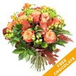 A vibrant, hand-tied autumn bouquet photographed against a crisp white background, its warmth balanced by clean studio light that brings out every texture. At the heart are large roses in a painterly gradient from soft peach and apricot at their spiraled centres to coral and deep russet on the outer petals, each bloom layered with velvety folds. Sprays of bright orange and golden-yellow freesia thread through the roses, their slender stems and delicate, bell-like blooms lending a lighter, fragrant lift. Dark green glossy leaves form a rich base while finer chartreuse sprigs and small, clustered lime-green hypericum berries add pop and tactile contrast. Pinpoint clusters of bright green Santini-style florets peek between petals, their button heads giving depth and a fresh, dewy impression. Scattered through the composition are several deep reddish-brown oak leaves with unmistakable lobed outlines, introducing an unmistakable autumnal note and a crisp, papery texture against the soft petals. The stems are neatly trimmed and gathered at the base, tied with natural jute twine to suggest a rustic, ready-for-vase finish; the trimmed stems are visible beneath the tie. Soft shadows fall across the white surface, suggesting a gentle morning light, and the overall mood is comforting and celebratory - a seasonal centrepiece for Thanksgiving, a warm birthday surprise, or a thoughtful housewarming gift. A bright diagonal orange banner sits over the bottom right corner of the image declaring FREE CHOCOLATE in bold white text, clearly visible as a promotional overlay. This bouquet feels handcrafted for Canonbury autumn tables and local deliveries around Canonbury Square and nearby Essex Road.