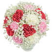 Gentle beauty radiates from this Canonbury bouquet, where the embrace of lush carnations and airy baby's breath conjure feelings of hope and affection. Expertly arranged by local florists, full carnation blooms in shades of wine red, pale blush, and creamy white cluster within a clear, rounded vase, their ruffled petals layered with intricate softness. Each colour harmonizes effortlessly, their interplay evoking the quiet elegance of garden walks through Canonbury Square in spring. Billows of white gypsophila weave between the blooms, casting a gauzy, ethereal veil that suffuses the bouquet with lightness-like morning mist lifting over New River Walk. Photographed against a crisp, white background and illuminated by bright, even light, every petal shines with dew-fresh vibrancy. The arrangement's perfect spherical silhouette, supported by fresh stems visible through the clear vase, gives a sense of balance and serenity. Ideal for sharing joy on birthdays, expressing gratitude, or simply delivering a heartfelt gesture, this bouquet resonates with Canonbury's spirit of warmth and sincerity. It brings classic style and floral artistry into any home, creating a centrepiece that speaks of love, care, and the joy of meaningful connection in this cherished North London neighbourhood.