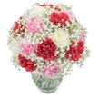 Even on a calm Sunday morning in Canonbury, this round bouquet arranged by attentive local hands brings an instant lift to any space. A jubilant chorus of carnations unfolds in deep red, sweet blush pink, and plush creamy tones, each bloom alive with layered, ruffled petals that feel soft and inviting. Resting between these vibrant flowers, clouds of pure white baby's breath give the entire arrangement a billowy, floaty feel-like a gentle embrace against the backdrop of Islington's leafy quiet. The bouquet's composition is perfectly rounded, with every carnation and gypsophila thoughtfully placed to build fullness and flow. Presented in a classic clear glass vase, the fresh stems and clear water below ground the airy display, while crisp, even daylight intensifies the colours and highlights every delicate petal edge. There's a quiet elegance here, reminiscent of floral gifts exchanged on tree-lined Canonbury squares-ideal for birthdays, anniversaries, or as a radiant centrepiece promising calm comfort. The air carries a faint, spicy-floral note, echoing the bouquet's spirit of hope and warmth so often cherished in local Canonbury homes.