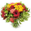 A hand-tied bouquet that celebrates autumn in a single, abundant gesture: deep crimson gerbera daisies with their broad, velvety petals and dark centres sit beside rich burgundy roses, some fully open into layered cups, others still tightly furled. Bright yellow spray chrysanthemums are peppered through the mass of blooms, their tiny star-like petals catching the light and offering a cheerful counterpoint to the darker tones. Gentle coral-pink roses and peach-tinged garden roses soften the palette, while orange-red alstroemeria with slender, often-speckled petals add a delicate, starry texture. The arrangement is framed by glossy deep-green foliage and paler, almost variegated leaves that lift and separate the blooms, and several large reddish-brown, bronze-toned autumn leaves-reminiscent of oak or maple-are woven into the design to underline the seasonal theme. Under soft natural light against a clean white backdrop, the petals look almost translucent at the edges and the stems, neatly gathered at the base, reveal the fresh green stalks of a classic hand-tied style.

The bouquet carries a warm, tactile quality: velvety rose petals, slightly papery autumn leaves, and the gentle spring of chrysanthemum clusters. It suggests use as a harvest table centrepiece for Thanksgiving, a comforting gift for an autumn birthday, or simply a way to bring the palette and scent of the season indoors. As a florist familiar with Canonbury living rooms and local gatherings, I picture this arrangement brightening a mantel near Canonbury Square, its colours echoing crisp October afternoons in the neighbourhood.