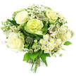 A beautifully composed hand-tied bouquet sits against a pure white background, its restrained palette of white, cream, and multiple tones of green creating a tranquil yet striking visual impression. At its heart, several large creamy white roses are in full bloom, their velvety petals layered like soft ruffles, opening wide to reveal a sense of openness and grace. Nestled alongside them, ornamental cabbages - flowering kale with distinctive ruffled leaves - provide sculptural interest; their outer foliage is a deep, garden green, gradually lightening towards the centre into shades of pale, yellow-tinted green that bring a contemporary edge to the design. Interwoven through the bouquet, delicate clusters of white spray chrysanthemums and petite daisy-like flowers with subtle yellow-green centres offer a fine, textured counterpoint, filling in gaps and creating an airy, cloud-like feel. Slender stems of greenish-white astrantia rise between the larger blooms, their star-shaped heads introducing a slightly wild, natural note, reminiscent of flowers picked from a hidden corner of New River Walk. Occasional hints of white alstroemeria, with their gentle striping, peek through the greenery, adding another quiet layer of interest. The arrangement is encircled by plentiful green foliage in varying shapes and shades, from broad, glossy leaves to more delicate, elongated stems, giving depth and a fresh-from-the-garden look. At the base, the visible stems are cleanly gathered and tied, clearly prepared as a professional hand-tied gift ready for a vase in a Canonbury living room or studio. The overall mood is calm, pure, and modern, making this bouquet suitable for sympathy, minimalist interiors, or gentle congratulations delivered locally across Canonbury and nearby Islington streets.