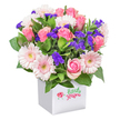 Nestled within a crisp white square box, this luminous bouquet encapsulates the gentle elegance found in Canonbury's hidden corners and quiet parks. The arrangement glows with lush, full pink roses, their petals in every stage from tight bud to generous bloom, intertwined with soft, pastel gerbera daisies that open wide to reveal their creamy, sunshine centers. Here and there, vivid purple statice punctuates the softer tones with hints of cool vibrancy, lending a playful yet sophisticated rhythm to the bouquet. Voluminous, shining green foliage forms a vibrant frame, its texture echoing the leafy avenues winding through Canonbury. The overall composition is modern yet welcoming-a gift that might grace a sunlit table on Douglas Road or serve as a heartfelt thank-you delivered to a local home. Each element is lovingly chosen by florists who know the neighbourhood's love for refined, natural beauty, making the bouquet perfect for special celebrations, birthdays, or simply to let someone know they're cherished amidst the city's gentle bustle.