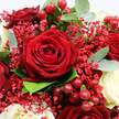 In this close-up floral portrait, the viewer is drawn straight into the heart of a lavish red and white bouquet that feels at once romantic and celebratory, as though arranged for an intimate Canonbury dinner party. Dominating the centre is a fully opened deep crimson rose, its tightly packed, velvety petals spiralling outward in graceful curves, suggesting depth and a quiet, intense emotion. Around this star bloom, several more dark red roses cluster in varying stages of openness, their shadowed folds and rich tones giving the composition a sense of warmth and quiet luxury. Threaded through the deeper shades, creamy white roses appear like soft breaths of light, their smooth petals gently unfurling and catching the glow, balancing the passion of the reds with a calm, soulful presence reminiscent of a peaceful walk through nearby Canonbury Square Gardens. Between the larger roses, delicate sprays of tiny red Gypsophila weave a fine lace of colour, adding texture and a slightly ethereal quality, as if the bouquet is dusted with tiny crimson sparks. Pops of glossy red Hypericum berries, small and perfectly rounded, introduce another dimension, reflecting light like polished gemstones and suggesting festive cheer on a winter's evening in Islington. Enveloping the blooms is a mix of silvery-green eucalyptus and darker green foliage, their rounded leaves framing the richer colours and adding a fresh, botanical scent you can almost imagine. The lighting is soft and even, allowing every velvety petal, cluster of berries, and leaf to be clearly defined. Altogether, the arrangement feels like a heartfelt gesture-ideal for anniversaries, romantic surprises, or elegant table settings in Canonbury homes where flowers are part of life's quiet celebrations.