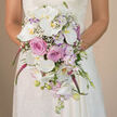 In this intimate, eye-level portrait, the camera lingers on a bride holding a luxurious cascading bouquet, her ivory lace wedding dress providing a refined frame as the flowers spill gracefully towards the hemline. The softly blurred, warm-toned background could be a sunlit Canonbury townhouse interior or a quiet Islington venue, allowing every petal and texture in the bouquet to become the true focal point. The arrangement is shaped in a classic teardrop cascade, abundant with white, blush pink, lavender, and bold fuchsia blooms that feel both romantic and modern. Dominating the design are pristine white Phalaenopsis orchids, their wide, smooth petals arching outward to reveal golden-yellow centers that glow gently in the light. Around them gathers a halo of blush pink roses, each tightly layered bloom adding depth and that unmistakable feeling of bridal romance. Delicate clusters of lavender and soft purple stock weave between the larger flowers, their many tiny blossoms creating a light, airy texture, like a soft breeze passing through a cottage garden. Wisps of white baby's breath punctuate the design, adding small, cloud-like highlights that break up the richer tones. From the lower edge of the bouquet, strands of vibrant fuchsia or magenta trailing blooms, akin to amaranthus, cascade downward with effortless movement, giving the bouquet a fluid, almost waterfall-like flow. At the tip of the cascade, fresh orchid buds, smaller lavender blossoms, and slim green stems hint at the flowers having been prepared only moments ago by a skilled local florist. The overall effect is of a thoughtfully designed bridal bouquet, perfect for a Canonbury ceremony where elegance, intimacy, and artistry are all cherished.