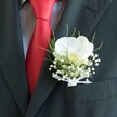 A close-up photograph captures the upper torso of a person dressed for a special occasion in Canonbury, the camera lingering on the quiet drama of a single white orchid boutonniere. The dark suit jacket, in deep charcoal or black, is sharply tailored, its lapel forming a clean line where the flowers are pinned. A lustrous red silk tie cuts diagonally through the frame, glowing gently against a subtly patterned, pale dress shirt, adding a note of passion to the otherwise classic palette. Nestled on the lapel, the boutonniere's focal point is a pristine Phalaenopsis orchid, its broad, velvety petals open in a calm, symmetrical curve and a soft yellow-cream throat at the centre catching the light. Around it, tiny white clouds of baby's breath create a mist-like halo, their minuscule blossoms adding delicate texture and volume without overwhelming the main bloom. Fine, grass-like green foliage arcs gracefully behind and between the flowers, lending freshness and movement, as if a breath of spring air from nearby New River Walk has been woven into the design. The stems are neatly gathered and wrapped in a narrow, sheer white ribbon tied into a small bow that rests just beneath the orchid, suggesting care and craftsmanship. The lighting is soft and even, with subtle reflections on the tie and the orchid's petals, evoking the gentle anticipation of a wedding morning or prom evening in North London, where every detail-from the sheen of the silk to the curve of each petal-speaks of preparation, promise, and a moment about to unfold.