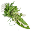 A vertically oriented, hand-tied floral cascade captured against a pristine white background, this arrangement reads as a quiet study in green and white. Multiple creamy white Calla Lilies form the sculptural heart of the design; their smooth, trumpet-shaped blooms tilt gently downward and to the right, the waxy petals catching soft, even light so that subtle shadows reveal each elegant curve. Surrounding the lilies is an abundant assortment of foliage: large glossy tropical leaves-folded and wrapped to build volume-create a deep emerald backbone, while variegated striped leaves threaded through the centre bring bright, linear contrast. Delicate, feathery fern fronds emerge from behind the broader leaves, adding an airy, woodland softness that balances the lilies' architectural presence. Near the top-left a textured off-white ribbon, slightly woven in appearance, is tied into a simple bow, its matte fabric lending an organic, tactile finish to the composition. Thin, grass-like blades arc outward to introduce graceful movement, and small frothy sprigs of pale green foliage nestle between larger elements to provide gentle texture and depth. The overall mood is one of composed refinement-calm, dignified and subtly contemporary-suitable for an understated wedding, a sophisticated event, or a respectful sympathy tribute. In natural daylight the arrangement reads as both modern and timeless, its clean lines and layered greens offering a sense of peace and well-crafted restraint. This image describes not only the shape and colour but the tactile contrasts-the glossy, the feathery and the woven-that make the bouquet feel both fresh and enduring.