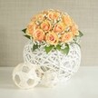 A softly glowing floral centerpiece sits on a bright white table, its rounded bouquet of about two dozen peach and apricot roses forming a generous dome of colour. Each rose shows layers of tightly furled petals, with deeper orange tones gathered at the heart and paler, almost blush edges that seem to catch the light, giving the arrangement a warm, sunrise-like radiance. Between the rose heads, tiny white baby's breath blossoms float like little clouds, their airy clusters adding movement and a sense of gentle celebration. Dark green leaves peek out at the base, grounding the pastel tones with a natural, leafy frame. The flowers are gathered into a striking spherical vase created from white woven strips, almost like wicker or rattan, crisscrossing in an open lattice that lets glimpses of shadow show through. This modern, textured container sits steady on the smooth tabletop, with two smaller decorative spheres resting nearby, crafted in a similar woven style in soft beige and cream, one slightly larger than the other. They echo the main vase's pattern and add a playful rhythm to the still life. Behind the display, a calm, light beige wall with a subtle, vertical texture keeps the focus firmly on the bouquet. The scene feels like a refined corner of a Canonbury townhouse, bathed in soft natural daylight, ideal for a wedding table, an anniversary dinner on a quiet Islington evening, or elegant home decor artfully styled by a local florist who understands both flowers and the relaxed, modern character of N1 homes.