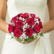Beneath Canonbury's soft skies, a bride gathers a bouquet that seems to embody a quiet promise of love and celebration. Deep, velvety red roses-each bud at a slightly different point of opening-cluster together in a rich, domed silhouette, the sort of floral arrangement you might find gracing a wedding along Canonbury Place or beside the leafy charm of Highbury Fields. Weaving cool white gypsophila throughout, the bouquet achieves a gentle, cloudlike beauty: the tiny blossoms softening every edge, making the vibrant reds feel even more alive. A few bright green leaves peek out from beneath, hinting at freshness and a link to Canonbury's renowned green spaces. The bride's manicured hands cradle the stems at mid-torso, complimented by the textured ivory of her lace wedding dress and a softly draped sash. The light here is kind and flattering, reminiscent of a tranquil morning by the canal, with the background's warm softness pushing all focus to the intricate detail of the flowers. This arrangement feels timeless-an embodiment of romantic tradition and the personal touch of Canonbury's local florists, ideal for couples seeking expert guidance on bridal style and floral design.