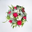 From a crisp, top-down view, a lush, round bouquet fills the frame against a pure white background, every colour and texture allowed to shine with clarity. At the heart of the design, hot pink carnations with deeply ruffled petals form generous, cloud-like tufts of colour, their frilled edges catching the soft light in lively ripples. Nestled between them, rich fuchsia-pink roses appear at different stages of opening: some tightly furled, others unfolding in graceful spirals, suggesting romance and anticipation. Scattered throughout the bouquet are clusters of petite white spray chrysanthemums and daisy-like blooms, their neat, layered petals creating a soft, cushiony contrast to the bolder flowers. Wisps of delicate white baby's breath thread between the larger blossoms, adding an airy, almost misty veil that lightens the whole composition. Slim, pale buds, likely from white alstroemeria or similar lily-shaped flowers, peek up with an elegant, tapered form that hints at quiet sophistication. Surrounding the blooms is a generous collar of greenery, where silvery-green eucalyptus leaves with their rounded, slightly waxy surfaces lend a cool, modern touch. Long, bright green blades arc gracefully outward, while darker, broader leaves-probably folded aspidistra-form a structured frame that keeps the bouquet visually grounded and complete. The lighting feels like gentle daytime, making the hot pinks glow and the whites appear crisp without harshness. This bouquet radiates joyful celebration with a touch of tenderness, the kind of arrangement a Canonbury local might send to cheer a friend near Newington Green, to mark a promotion, or to bring fresh, garden-inspired colour into a home overlooking the leafy streets around Canonbury Square.