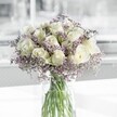 A serene white and lavender bouquet stands in a clear cylindrical glass vase, captured as if in soft Canonbury morning light. At the centre, creamy white roses open in perfect spirals, each bloom layered with velvety petals that glow gently, as though lit from within. Around them, airy clouds of lilac-tinted limonium, sometimes called sea lavender, create a delicate mist, filling the spaces between the roses with tiny clustered flowers and fine, branching stems. The roses feel calm and composed, while the limonium adds a sense of movement, like a faint breeze drifting through a quiet Islington garden. The clear vase reveals the straight green stems, neatly trimmed and immersed in fresh water, giving the arrangement a clean, contemporary profile that would look at home in a townhouse off Essex Road or a light-filled flat overlooking New River Walk. The colour palette is intentionally restrained-soft whites, pale lavender, and natural greens-evoking a sense of peace, reflection, and understated elegance. Imagined in a living room near Canonbury Square or on a bedside table after a long day in the city, this bouquet seems perfectly suited for moments that call for calm: a gentle sympathy gesture, a thoughtful thank you, or a quiet celebration of new beginnings. There is an almost palpable stillness to the image, as though time has slowed around the flowers, inviting a deep breath, a pause, and a touch of quiet comfort in the heart of North London.