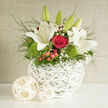 This image shows a romantic wedding arrangement that feels perfectly at home in Canonbury's leafy terraces, as if placed on a polished wooden table near Upper Street. A hand-woven white basket forms the base, its soft lattice texture echoing artisan craftsmanship. From this cradle of wicker rise generous white lilies, some arching gracefully open, others still held in elongated buds. Their petals are broad and satin-smooth, with a creamy glow that suggests purity and calm. Threaded among them are classic red roses, their deep crimson tones adding warmth and quiet intensity to the design, each spiral of petals inviting a moment of reflection. At the base, tufted green dianthus provides a vivid, moss-like cushion, full of life and subtle movement. Tiny clusters of red hypericum berries are scattered throughout, catching the light like small jewels, while airy sprigs of gypsophila add a gentle, cloud-like softness. Slim leaves and delicate foliage stretch outward, giving the bouquet a natural, almost garden-grown feel, reminiscent of flowers gathered from a secluded Canonbury square. The overall palette of white, red, and fresh green is timeless, making this arrangement an elegant choice for wedding centrepieces, registrar's tables, or to greet guests at a reception venue. Soft daylight filters across the flowers, enhancing every curve and texture, turning this basket of blooms into a quiet, heartfelt statement about love, commitment, and the beauty of shared moments.