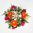 The first impression of this locally crafted bouquet is pure vibrancy-a joyful fusion of colour and comfort inspired by the laid-back elegance of Canonbury. Three radiant orange Gerbera daisies with golden-green centres act as the arrangement's cheerful focal points, their vividness accented by deep fuchsia and magenta roses at various stages of unfolding. Intertwined are creamy white alstroemeria blossoms, soft and uplifting, while snowy white spray chrysanthemums add a lace-like lightness throughout. The heart of the bouquet is anchored by a single soft peach rose, drawing the eye and grounding the exuberance with calm sophistication. Dark, abundant greenery frames and supports the blooms, recalling the tree-lined avenues and secret gardens of Canonbury. Under even, gentle light on a white background, each flower's unique shade and petal structure is showcased to full effect. Whether destined to brighten a home near Canonbury Square or grace an intimate celebration, this bouquet embodies heartfelt joy and artistry-an authentic creation from within the Canonbury community.