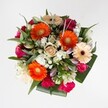 This bouquet bursts with vitality, its vivid colors and tactile beauty mirroring the welcoming spirit of Canonbury's tree-lined avenues. At its heart, radiant orange Gerbera daisies fan out like the sun's rays breaking over Canonbury Park, their lively petals alive with motion and optimism. Soft peach Gerberas nestle beside them, their warm, creamy petals and burgundy centers adding gentle contrast and subtle depth. Playful hot pink carnations, along with magenta and blush roses, bring romantic energy, their ruffled and spiraled forms giving texture that feels inviting to the touch. Fooled between festive gatherings of white spray chrysanthemums and the clean lines of unopened white lily buds, the arrangement sparkles with moments of pure brightness. Layers of rich foliage-including deep green, glossy leaves and bluish eucalyptus-draw the eye, their forms recalling the varied shades of Canonbury's hidden gardens. The bouquet's compact, rounded shape creates a harmonious balance, ideal as a celebratory gift for a birthday, thank you, or cheerful pick-me-up. There's a light, uplifting floral scent, and a visual promise of warmth-just the thing to make a neighbor's day brighter or add charm to a Highbury Fields tablescape. This carefully composed bouquet delivers a heartfelt greeting from your local Canonbury florist: fresh, joyful, and perfectly in tune with the neighborhood's lively yet peaceful character.