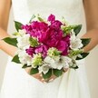 A close-up photograph captures a bride, or possibly a stylish wedding guest, cradling a vivid round bouquet against the soft backdrop of a white lace gown, somewhere between the leafy calm of Canonbury Square and the townhouses off Essex Road. At the very heart of the design, large fuchsia and magenta peonies are packed tightly together, their ruffled petals layered like silk skirts, creating a plush, almost cloud-like centre that draws the eye instantly. Threaded among these bold blooms are pristine white alstroemeria, each petal marked with fine maroon speckles that look hand-painted, adding a touch of intricate detail and gentle movement. Bright, spiky green buds and textural filler flowers push up through the composition, their fresh lime tones and angular shapes contrasting beautifully with the rounded softness of the peonies and lilies. Deep green, glossy leaves frame the bouquet, cupping the flowers and giving the design a sense of fullness and natural structure, as though freshly gathered from a hidden garden just off New River Walk. The bride's hands are visible at the base, fingers wrapped carefully around the stems, nails painted a delicate blush that echoes the bouquet's romantic mood. Soft, even lighting highlights the saturated colours and the velvety texture of each petal, while the gown's subtle pattern remains out of focus, creating a gentle halo of white behind the flowers. The overall feeling is one of joyful celebration and contemporary elegance, the kind of bouquet a Canonbury couple might choose for a spring or early summer ceremony, brimming with life, fragrance, and the promise of a day to remember.