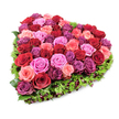A lush, heart-shaped floral tribute sits against a pure white backdrop, photographed from a slightly elevated angle so the full, rounded volume and meticulous placement of each bloom are visible. Dozens of garden roses are packed edge to edge to form the unmistakable heart: rich, velvety crimsons and deep burgundies anchor the design while soft blush and pastel pink roses ease the balance with tender highlights. Brighter fuchsia tones and notes of deep purplish-magenta thread through the surface, creating a lively, multi-tonal tapestry of petals that reads like a gentle ombré when viewed across the curve. Each rose is at the height of freshness, some petals tightly furled and others just beginning to unfurl, lending the piece a tactile, ruffled surface that invites touch and carries the warm, classic scent of roses. A narrow, finely textured border of deep green foliage-sprigs that resemble carnation leaves or delicate pittosporum-frames the heart and defines its silhouette with a natural, lacy edge. Tiny, dark red or burgundy berry-like accents are interspersed within the greenery, adding discreet points of depth and a whisper of autumnal warmth. The lighting is bright and even, rendering every petal vein and subtle colour shift with crisp clarity against the white background. This arrangement reads as a sentimental, expertly composed piece suitable for romantic gestures, anniversaries, or a compassionate memorial; its balanced palette and lush volume convey both celebration and quiet remembrance. As a Canonbury florist might note for local clients, its timeless shape and colours make it a thoughtful choice to express devotion or sympathy across Canonbury and nearby Islington streets and squares.