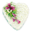 A large heart-shaped floral tribute is presented against a crisp white background, making every bloom and detail clearly visible. The central body of the heart is completely covered in countless miniature white spray chrysanthemums, each tiny flower head carefully positioned to create a thick, plush surface that resembles a soft cushion or a snowy blanket. This uninterrupted field of white suggests peace, purity, and a gentle farewell, evoking the calm of an early morning in Canonbury when the streets are still quiet. Along the outer edge runs a continuous band of rich, emerald green ribbon, its smooth satin surface forming a neat outline that accentuates the heart's curves and adds a sense of refinement and structure. On the upper left section of the heart, an artfully composed floral spray introduces colour and movement. Several deep magenta and fuchsia calla lilies rise gracefully from this point, their sculpted trumpet-shaped blooms drawing the eye. A few stand tall near the top, while others arch and trail softly downwards, creating a flowing diagonal that crosses the cushion of white chrysanthemums. Nestled alongside the calla lilies are clusters of small white freesia, their delicate petals and gentle fragrance bringing a subtle contrast in both texture and scale. These are interwoven with varied greenery: glossy dark leaves and lighter, airy fern fronds that offer depth, shadow, and a natural frame for the coloured flowers. The overall effect is dignified and deeply moving, a design that feels both contemporary and timeless, suitable for a funeral or memorial in local Canonbury churches or crematorium chapels. It speaks of love that endures, crafted with quiet care by experienced florists who understand the sensitivity of such occasions.