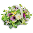 A carefully crafted funeral flower basket rests on a white studio surface, its light woven texture and gently arching handle creating a soft frame for a lush, rounded display of blooms. At the centre of the arrangement, a creamy white rose unfolds in a precise spiral of velvety petals, offering a sense of calm and purity that feels fitting for a farewell gathering in Canonbury. Nearby, two deep purple calla lilies extend their sleek, trumpet-shaped spathes, their rich colour adding gravity and quiet elegance. Throughout the basket, delicate clematis-like flowers in pale lilac and soft lavender are scattered, their star-shaped petals and tiny yellow centres bringing a whisper of lightness and grace, reminiscent of early morning walks past Canonbury's leafy squares. Small clusters of yellow and white, bell or trumpet-shaped blooms, similar to freesia or alstroemeria, punctuate the greenery with gentle brightness, suggesting hope and cherished memories. On the right side, a single magenta gerbera daisy leans slightly outward, its bold, daisy-like form and vivid hue providing a warm, loving accent. All of these flowers are anchored in a generous bed of foliage: broad, glossy green leaves provide structure and depth, while finer, lighter green sprigs weave through the design, giving it movement and a natural, garden-inspired feel. The lighting is soft and even, producing a faint shadow beneath the basket that grounds the composition without distraction. Overall, the image conveys a sense of thoughtful craftsmanship and quiet compassion-a floral tribute designed to bring comfort, beauty, and a touch of colour to a funeral or memorial service.