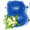 A prominent floral letter B stands out crisply against a plain white backdrop, created as a bespoke funeral tribute with thoughtful craftsmanship. The entire face of the letter is covered with densely packed royal blue chrysanthemums, each flower carefully placed so their ruffled petals overlap and create a rich, continuous texture. The intense blue, with its subtle shifts in shade, feels both dignified and soothing, reminiscent of the deep sky over Canonbury's quiet terraces at dusk. Surrounding the outer edges and defining the inner spaces of the B is a white pleated ribbon, its satin surface forming a gentle frill that softens the strong lines of the letter and adds a sense of purity and grace. At the lower left section, a complementary spray has been attached: creamy white roses in varying stages from bud to half-open bloom, their petals curling back in elegant spirals. Intermingled among them are tiny white spray chrysanthemums, daisy-like and cheerful, which introduce lightness and fine detail. Lush green foliage frames this smaller cluster - fern fronds, polished leaves, and lighter, more delicate greenery - giving the design movement and a natural, freshly gathered character. The interplay of dramatic blue, pure white, and vibrant green tells a quiet story of respect, love, and farewell, making this floral initial a thoughtful way to remember a loved one whose name begins with B. It is easy to imagine this tribute, prepared by Canonbury Flowers, placed beside a casket or at the front of a service in a local chapel, offering a calm, consoling focus for family and friends gathered to say their goodbyes.