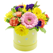A bright Easter hatbox arrangement glows as if it has caught the first clear light of a Canonbury morning, photographed against a crisp white background that lets every colour stand on its own. The container is a soft pastel lime-yellow cylinder, hatbox-shaped and smooth, decorated with scattered pastel Easter egg icons in gentle blues, pinks, and whites. Some of these eggs are patterned with tiny dots or fine stripes, bringing a playful, almost storybook charm that will feel familiar in homes around Canonbury's tree-lined terraces. From this cheerful base, a densely packed, dome-shaped bouquet arches upwards, every bloom placed to create balance and inviting fullness. At its heart, a single large pink Gerbera daisy opens wide, its layered petals arranged around a pale green centre that seems almost luminous. Surrounding it are clusters of bright yellow chrysanthemums, their thin, radiating petals giving off a sense of warmth and uncomplicated happiness, like sunlight spilling onto a doorstep near Canonbury Square. Coral-orange carnations, with their softly ruffled edges, slip between the yellow and pink, adding texture and a cosy, embracing feel to the design. Nestled slightly deeper, rich violet-purple lisianthus blooms emerge like little pockets of shadowed colour, introducing elegance and a hint of mystery. Fresh green foliage threads through the composition, some leaves plain, others softly variegated, providing a cool counterpoint to the warm blossoms and helping each colour stand out clearly. The overall impression is of a joyful, carefully curated Easter gift, perfectly suited to sit on a kitchen table or hallway console, or to be delivered as a bright spring surprise to a friend on a nearby Canonbury side street.