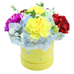 A bright, cheerful hatbox-style bouquet sits photographed on a clean white backdrop: a round, pastel yellow gift box overflowing with a compact, domed spray of fresh flowers. At the heart of the composition two large, ruffled yellow carnations glow like small suns, their frilled petals catching soft morning light and showing subtle gradations from lemon to butter tones. Beneath and around them a generous mass of periwinkle-blue hydrangea florets forms a cloud-like cushion, each tiny petal edged in paler sky-blue or flecked with near-white, giving the arrangement a soft, textured depth. To the left a bold magenta-fuchsia carnation pushes slightly forward, its fullness and saturated colour creating a playful counterpoint; on the right a velvety crimson-red carnation balances the palette with depth and warmth. Slim sprigs of fresh green foliage peek through the blooms, their crisp, satiny leaves adding cool contrast and a natural, garden-fresh scent that lifts the composition. The cylindrical box itself is a gentle lime-yellow paperboard, hand-finished with irregular pastel polka dots in light blue, soft pink, and pale green, some with tiny white speckles that catch the eye and suggest springtime whimsy. The overall effect is joyful and caring-an arrangement that reads as both elegant and intimate, perfect for birthdays, anniversaries, a thoughtful thank-you, or a get-well surprise. As a local florist might note, this design would travel well for short-distance delivery around Canonbury and nearby Upper Street, its compact, boxed presentation keeping the blooms secure while arriving ready to brighten a mantle or bedside table.