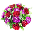 From a bird's-eye view against a crisp white background, this abundant circular bouquet reveals itself as a rich blend of passionate reds, sophisticated purples, and refreshing greens. At the heart are several luxurious red roses-about seven or eight-each bloom unfolding in perfect spirals, the petals velvety and full. Their colour shifts gently from a warm, clear red at the outer edges to darker, almost wine-like tones hidden closer to the centre, lending the arrangement a romantic, candlelit atmosphere even in bright light. Intertwined with the roses, magenta and purple carnations create a lively counterpoint, their ruffled petals forming intricate tufts that seem to ripple across the bouquet's surface. Some carnations glow in vivid fuchsia, while others deepen into plum and royal purple, adding layers of visual interest and a sense of celebratory richness. The flowers are cradled by an assortment of greenery: soft, round eucalyptus leaves in a cool silvery-green, broader dark green foliage with a glossy finish, and slim stems tipped with smaller, brighter leaves that suggest natural movement. Together they frame the blooms and keep the design feeling fresh and garden-inspired, as if it had been gathered after a stroll through Canonbury's quieter streets, perhaps near Canonbury Square or around Highbury & Islington. The overall effect is of a carefully balanced, opulent posy that speaks of love, admiration, and joy-perfect for anniversaries, birthdays, or simply sending a heartfelt surprise to a home or office nearby, where its subtle fragrance and rich colours can lift the mood all day.
