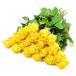 A striking arrangement of about twenty-four yellow roses is displayed against a flawless white background, creating a clear, uncluttered portrait of the flowers themselves. The roses are gathered in a loose, fan-like cluster, as if they have just been placed down by a Canonbury florist preparing a sympathy bouquet. Each bloom is unique in its stage of opening: some remain as neat, tightly wound buds with layered petals tucked in close, while others reveal wider spirals of warm, sunny yellow, their outer petals gently curling back. The colour feels like a soft beam of daylight, not overwhelming but quietly hopeful. Surrounding the blooms, glossy, dark green leaves add contrast and depth, their shapes overlapping to form a lush base that emphasises the vibrancy of the petals. You can almost sense the faint texture of the foliage, where the veins run delicately through each leaf and lighter undersides flicker into view. The stems, visible at one edge of the image, are fresh and smooth, in a natural light green that suggests the roses have been recently cut and gathered, perhaps for same-day delivery to a peaceful home near Canonbury Gardens or a small terrace off Liverpool Road. The clean white background keeps the focus on the simple, heartfelt beauty of the roses, making this arrangement a gentle, uplifting choice for expressing sympathy. It evokes a quiet message of support and remembrance, offering comfort through soft colour, natural grace, and the steady presence of fresh, thoughtfully arranged blooms.