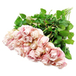A thoughtfully gathered bouquet of around two dozen blush pink roses is laid horizontally against a clean, bright white backdrop, the kind of simple yet refined arrangement you might find resting in a peaceful Canonbury sitting room before being taken to a memorial or condolence visit. The roses are arranged so that their heads form a generous, softly rounded cluster, with blooms in various stages of opening. Some are tightly furled buds, their petals wound in compact spirals that create an impression of quiet reserve, while others are more open, showing layers of velvety petals that deepen in tone from a pale shell pink at the edges to a faintly dusty rose and lavender hue near the center. The petals appear smooth and cool, slightly curved and feathery at the outer edges, catching the soft, even light that falls across the scene and reveals delicate textures and shadows. Behind the flowers, long, sturdy stems gather towards one side, interwoven with an abundance of rich green leaves that are glossy, full, and healthy, their darker colour grounding the airy softness of the pinks. The bouquet looks freshly cut, as though it has just left the hands of a local Canonbury florist, perhaps destined for a quiet address off St Paul's Road or a chapel near Highbury & Islington. The uncluttered white background gives the arrangement a serene, contemplative atmosphere, ideal for sympathy flowers where subtlety and grace are essential. This gentle display of pink roses conveys warmth, compassion, and respect, offering a tender visual expression of condolence and remembrance when words may be hard to find.