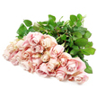 A bountiful grouping of pale blush roses lies in a tender cascade across a clean white background, recalling the poised, thoughtful work done in Canonbury's small independent flower shops. The roses are densely gathered yet still airy, their velvety faces turned slightly in different directions, creating the sense of a natural armful just set down after being cradled to the chest. Each bloom unfolds with layers of soft petals, edged with faint hints of cream and antique pink, so that the colours blend together like a delicate watercolour wash. The blossoms range from more closed, rounded buds to fuller, open cups that reveal gentle spirals at their centres, catching soft light that makes them appear almost luminous. Lush, glossy green leaves and confident green stems weave beneath the flowers, forming a vibrant, living bed that frames the pastel roses and emphasises their softness. The pure white background provides a quiet, contemplative space around the bouquet, letting the arrangement radiate a sense of calm, similar to the stillness you might feel walking along the quieter corners of Canonbury's tree-lined avenues. The scene evokes early morning light in a peaceful home, where sympathy flowers have just been delivered as a silent embrace for someone grieving nearby in Islington or along St Paul's Road. There is an air of refined restraint and quiet strength to these roses, making them particularly suited for times when emotions run deep and words feel insufficient. Their gentle beauty becomes a visual expression of empathy, remembrance, and enduring support in moments of loss.