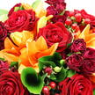 A lavish bouquet of red roses and orange lilies fills the image so completely that no vase or background is visible, giving the impression of leaning in close to breathe in its fragrance in a Canonbury sitting room. At the core, large, fully opened red roses with soft, velvety petals form intricate spirals, each bloom a deep, luxurious crimson that suggests enduring love and heartfelt emotion. Radiating out from them, orange lilies stretch their broad, slightly recurved petals, their star-like shapes and vivid sunset tones bringing a sense of energy and optimism, reminiscent of warm evenings walking toward Highbury & Islington. Interspersed among these main flowers are tighter rosebuds and petite roses in richer, darker burgundy shades, creating subtle shadows and layers that draw the eye deeper into the bouquet. The surrounding foliage is abundant: glossy, deep green leaves cup and cradle the blooms, while finer, more delicate greens thread through the gaps, giving the arrangement a lush, garden-like feel. A single large leaf in the foreground curls elegantly, like a green ribbon looping through the flowers, showcasing the florist's attention to form and texture. Nestled among the petals, clusters of round, ruby-red hypericum berries sit on slender stems, their smooth, reflective surfaces catching the light and adding a playful, seasonal sparkle. Gentle, bright lighting enhances the freshness and almost dewy appearance of the petals and berries, intensifying the contrast between warm reds and oranges and cool, restful greens. The result is a bouquet that feels both luxurious and inviting, ideal for anniversaries, joyful celebrations, or simply lighting up a Canonbury home with colour and warmth.