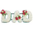 A carefully composed sympathy tribute spells out DAD in three large, three-dimensional capital letters, each letter densely carpeted with hundreds of small, pristine white chrysanthemums so the surface reads as a soft, pure white textural field. The edges of every letter are crisply defined with a deep emerald-green pleated ribbon, a ribbed border that gives the shapes a clear, dignified silhouette against a bright, neutral background. Each letter is given a focal cluster of blooms: on the left-hand D a cluster of deep red roses sits with small white freesia and glossy green foliage nestled into the upper curve; the central A carries a matching cluster near the lower left limb, with a gentle sweep of greenery drawing the eye upward; the right-hand D mirrors the first with another grouping of red roses, white freesia and lush leaves. The contrasts - pure white chrysanthemums, the velvet of red rose petals, the crisp ribbon green and the dark metallic support bars visible behind the letters - create a composed balance of warmth and restraint. Soft, even lighting reveals the chrysanthemum's fine petal texture and the roses' velvety depth, while an understated metallic framework keeps the installation secure and level for a chapel or graveside. As a floral designer who knows the quiet rhythms of memorial work, I picture this arrangement arriving at a small Canonbury funeral chapel or placed beside a headstone in a nearby churchyard, offering a clear, personal message of love, respect and remembrance for a father or paternal figure.