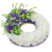 A dignified circular funeral wreath photographed against a clean white backdrop, its form and texture described so someone who cannot see it can feel its calm presence. The main body is a continuous, plush ring of pristine white cushion chrysanthemums, each ruffled bloom tightly nestled to create a soft, pillowy surface that reads as serenity and purity. Along the upper-left quadrant a composed spray of purple Eustoma (lisianthus) introduces a graceful contrast: fully opened deep-violet flowers with visible pale centers, softer lavender blooms at varying stages of opening, and slender stems that give the cluster a poised, upward lift. Lush green foliage-broad variegated leaves and finer fern-like fronds-threads through the purple grouping, offering cool, leafy texture and a natural counterpoint to the chrysanthemum cushion. Subtle, crinkled purple mesh or lace peeks discreetly beneath the white blooms at both inner and outer edges, its deeper hue echoing the lisianthus and providing a refined frame without distracting from the wreath's quiet dignity. The arrangement sits in soft, even studio light, a faint shadow beneath lending depth and a gentle, almost floating quality against the white background. There is an understated hush to the composition: the chalky scent of chrysanthemums mingles with the velvety, slightly sweet note of lisianthus, evoking comfort rather than spectacle. This sympathy wreath is composed to convey respect and lasting remembrance, suitable for a funeral service or as a graveside tribute, offering a visual and tactile expression of condolence for families seeking solace in Canonbury and neighbouring Islington communities.