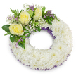 A serene, circular sympathy wreath sits against a clear white background, its form a study in quiet craftsmanship and soft colour. The body of the wreath is densely packed with hundreds of small, pristine white spray chrysanthemums whose ruffled, feathered petals build a plush, cloud-like ring with a gently open centre - a traditional symbol of continuity and peace. Along both the inner and outer edges a fine, dark lavender-purple mesh or ribbon peeks through the white blooms, giving the silhouette a discreet frame and a subtle depth that reads almost like a shadowed ribbon through snow. At the upper-left arc a composed cluster of three creamy yellow roses unfurls, their velvety petals easing outward with the gentle warmth of remembered friendship. These roses are cushioned by billows of airy white gypsophila and threaded with small sprigs of lavender-purple statice or limonium that lift the cluster with delicate, twiggy colour. Varied green foliage - glossy broad leaves and softer, fern-like fronds - fans around the accent, adding freshness and a natural rhythm against the soft chrysanthemum background. The image is lit with soft, natural light that brings out the cool white tones and the pale warmth of the yellow roses, casting a faint, natural shadow that anchors the wreath to the backdrop. Meant for a funeral or memorial, this composition offers a composed, comforting presence that would sit respectfully at a chapel in Canonbury or on a table at a local wake, the quiet palette and careful textures conveying condolence, remembrance and gentle reassurance to family and friends.