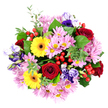 Captured directly from above against a pure white backdrop, this bouquet forms a dense, round cluster of mixed flowers, every bloom clearly visible as if laid out on a painter's canvas. The deepest notes come from the crimson red roses, their tight, velvety spirals adding intensity and a sense of timeless romance at various points across the arrangement. In contrast, bright yellow Gerbera daisies with dark, defined centres shine like small suns, instantly lifting the mood and echoing the cheerful feel of Canonbury's leafy streets on a bright day. Between these bold blooms, feathery pink and soft lilac chrysanthemums spread out in many-petalled cushions, their pale yellow-green centres catching the light and adding a softer, more contemplative layer. Lisianthus stems weave through in varying shades of purple, lavender, and gentle blue, their bell-shaped flowers and delicately rolled edges giving the design a refined, modern elegance. Surrounding and supporting the blooms is an assortment of greenery: broad, fresh leaves that ground the bouquet, interlaced with smaller rounded foliage reminiscent of eucalyptus, bringing a flowing, organic texture. Dotted among the flowers, glossy red hypericum berries appear in small clusters, like tiny polished beads that add a festive, almost woodland charm. The overall composition is carefully balanced yet feels naturally abundant, as though just gathered and expertly shaped. It is easy to imagine this arrangement being prepared by Canonbury Flowers and delivered the same day to a townhouse near New River Walk, a flat just off St Paul's Road, or a studio overlooking the quiet backstreets, to celebrate birthdays, anniversaries, or simple moments of shared joy.
