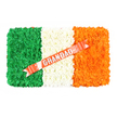 A rectangular floral tribute inspired by the Irish national flag is shown laid out as if ready to be placed beside a coffin or at the front of a funeral service, honouring a grandad with strong Irish connections. The arrangement is structured in three equal vertical stripes, each composed of countless tiny blossoms packed closely together to form a soft, textile-like surface. On the left, the green panel is dense and vibrant, created from compact, textured flowers whose petals overlap to form a smooth, velvety field. The central white section is calm and luminous, its blooms perfectly aligned so the petals seem to merge into one serene expanse, evoking purity and remembrance. To the right, a saturated orange band adds warmth and energy, its flowers slightly more ruffled, catching small shadows between petals that bring gentle depth to the design. Draped diagonally across the white and orange stripes, a sleek coral-red satin ribbon runs from the lower left corner to the upper right. The ribbon's sheen contrasts beautifully with the matte flowers beneath, and across its centre, in bold, silver-coloured capital letters, is the word GRANDAD, standing out with quiet authority and affection. Tiny, neat white pins hold the ribbon in place, evidence of the careful, respectful craftsmanship that a local Canonbury florist might bring to a bespoke tribute. Presented against a plain white background, the piece feels both simple and profoundly meaningful, weaving together themes of Irish pride, family history, and a final, loving farewell shared among relatives and friends gathering in Canonbury and the surrounding Islington area.