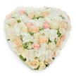 From a calm overhead perspective against a clean white background, this heart-shaped floral tribute reads as a soft, healing embrace. Densely arranged with pristine white and creamy ivory roses, the surface is given depth by billowing clusters of fluffy white hydrangea that settle like pale clouds between the blooms. Scattered among the white are delicate pale peach and soft blush pink roses, some unfurled into full, velvet-faced blooms and others held close as tight, hopeful buds; together they create a gentle gradient from ivory to warm pastel pink that feels both intimate and restrained. Subtle slivers of deep green, slightly variegated foliage peek through the petals, offering a cool contrast that grounds the composition and hints at the scent of fresh leaves beneath the roses' sweet, clean perfume. The heart outline is meticulously formed-each flower placed to preserve a continuous, lush edge-while a soft shadow beneath the piece gives the arrangement a quiet three-dimensionality on the white surface. The texture alternates between the hydrangeas' ruffled clusters and the roses' structured spirals, so the eye and the hand would register both plushness and sculpted grace. This is a design that reads as a tender expression of remembrance, suitable for funerals, memorial services, or a sympathy gesture sent to console, but its romantic shape also fits weddings or anniversaries where soft, timeless colour is desired. As a florist familiar with Canonbury's gentle streets and neighbourhood quiet, I imagine this piece arriving with calm dignity to homes around Canonbury Square and Essex Road, offering a measured, comforting presence in moments of reflection.