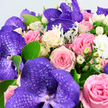 A lush, detailed bouquet fills this image from edge to edge, like a garden gathered into a single armful and placed carefully in a Canonbury home. The most striking blooms are the purple Vanda orchids, large and dramatic, their petals patterned with darker violet veining that forms a web-like design, giving each flower depth and character. They intertwine with a profusion of roses in dreamy, romantic shades-blush pink, richer rose-pink, and creamy white that fades softly into pale yellow in the centre. Some roses are fully open, revealing their tightly layered, velvety petals, while others remain just partially unfurled, suggesting the freshness of a bouquet arranged that very morning. Between these larger blooms, clusters of round white Hypericum berries add a modern, sculptural note, their waxy surfaces catching the light. Delicate tufts of small white filler flowers, like miniature chrysanthemums, help to soften the bold colours and give the arrangement a cloud-like fullness. The bouquet is framed with a mix of smooth, bright green leaves and chilly, silver-green foliage with a fuzzy, Dusty Miller-like texture, which lends a cool, elegant contrast to the warm roses and intense orchids. Everything is photographed in crisp focus against a simple, pale backdrop, so every curve of petal and leaf is clearly defined. The overall feeling is one of gentle opulence and heartfelt emotion-a design perfect for sending love, congratulations, or sympathy within Canonbury and along the leafy streets near Essex Road-capturing that blend of artistry and care you expect from a trusted local florist.