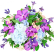 A lavish mixed bouquet is shown against a pure white background, the neutral setting allowing each bloom and colour shift to be seen with clarity, as though the flowers have just been arranged on a bright morning in a Canonbury studio. At the core lie rounded clusters of powder-blue hydrangeas, their dense, cloud-like heads forming a soft cushion that sets a cool, calm tone. Rising from this base, vibrant Vanda orchids in electric fuchsia and purple add a striking focal point, their broad petals etched with tiny, irregular dark spots and veins, giving them a sophisticated, almost graphic quality. Tucked among the bolder flowers are blush-pink and cream spray roses, some in tight bud, others gently unfurling; they introduce a tender, romantic element and a sense of layered, ruffled texture. Slender, climbing stems of clematis extend slightly beyond the main outline of the bouquet, some bearing closed buds, others revealing star-shaped blooms in shades of indigo, violet, and lavender, creating a graceful, reaching movement at the edges. Around and beneath the flowers, fresh emerald-green foliage fans out, with smooth leaves and wiry stems that frame the composition and offer a natural contrast to the more opulent blossoms. The bouquet is composed in a rounded, full style that feels generous yet intentional, ideal for display on a dining table in a Canonbury townhouse or delivered as a statement gift to a home near Highbury & Islington. Soft, even lighting brings out the velvety orchid petals, the airy hydrangeas, and the delicate roses, giving the entire piece an atmosphere of celebration, romance, and quietly confident luxury.
