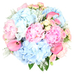 A lavish pastel bouquet is set crisply against a white background, its colours glowing like soft morning light over Canonbury. The design is dominated by lavish blush pink peonies, their petals densely layered and ruffled, opening into generous, cup-shaped blooms that feel rich and velvety. Nestled confidently among them are full clusters of sky blue hydrangeas, the many small petals of each head forming pillowy mounds that lend the arrangement a voluminous, cloud-soft presence, reminiscent of calm skies above Canonbury Square. Between these larger blossoms, sprigs of spray roses in blush pink and pale buttery yellow peek through, some as tight buds, others partially open, their spiralled centres adding dainty detail and a classic romantic charm. A few hot pink calla lilies curve upward with sleek, trumpet-like forms, their bold, saturated hue and polished texture bringing a contemporary, sculptural edge that contrasts beautifully with the more romantic flowers. At the base, silvery Dusty Miller leaves with a frosted, velvety finish intertwine with deeper green foliage, giving cool undertones and visual depth. The bouquet is shaped into a perfect rounded dome, each stem thoughtfully placed to create balance and movement without disturbing the serene overall effect. The mood is refined yet tender, suitable for celebrating a wedding, an anniversary dinner near Upper Street, a new baby, or a meaningful birthday delivered to homes around N1. The imagined scent is gentle and comforting, a blend of sweet peony and soft rose carried on a breath of garden freshness, evoking warmth, gratitude, and quiet joy.