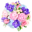 A richly detailed, full-bodied bouquet stands out against a pure white background, its rounded, dome-like form brimming with softly blended colours. Dominating the composition are plush pastel pink peonies, their many layers of ruffled petals creating a sense of movement and romance, like a soft blush spreading across the sky above Canonbury's terraces at sunset. Between these peonies, expansive clusters of sky blue hydrangeas provide volume and a cooling counterpoint, their countless small florets forming pillowy mounds that recall the calm of a clear day wandering through nearby Highbury Fields. Threaded through this haze of pinks and blues, striking fuchsia-purple Vanda orchids introduce an element of drama; their petals are marked with intricate speckling, lending the bouquet a refined, almost couture quality. Several coral pink calla lilies curve elegantly outwards, their sleek, trumpet-shaped blooms giving the design a modern, sculptural line that contrasts beautifully with the softness of the peonies and hydrangeas. Smaller light pink and creamy white spray roses nestle in the gaps, adding a gentle, nostalgic sweetness and the suggestion of a delicate rose fragrance. Around and beneath the flowers, green foliage, including distinctive silvery-green dusty miller and deeper green leaves, frames the design, adding depth and a cool, textured base. The bouquet feels both opulent and soothing, as if it were created to sit in pride of place in a Canonbury townhouse or to be delivered as a heartfelt gesture for an engagement, an important birthday, or a moment of quiet comfort. Every bloom contributes to an impression of intentional luxury, ready for same-day delivery throughout Canonbury and surrounding North London streets.
