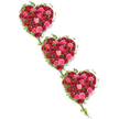 Three lush, heart-shaped floral tributes are arranged in a graceful diagonal cascade, drifting from the top left to the bottom right of a smooth white background. Each heart is made entirely of roses, layered so closely that no gaps show through, in a palette that ranges from intense crimson and scarlet to fuchsia, bright pink, coral, and the softest blush. The petals look velvety and full, some blooms cupped and newly opened, others wide and generous, giving the design a sense of warmth and abundance. Around each heart, a collar of deep green ivy traces the outline, the leaves slightly glossy, with delicate tendrils that wander softly into the white space. These ivy strands intertwine between the hearts, creating an organic chain that feels symbolic of bonds stretching through time and memory, not unlike the quiet continuity of life along Canonbury Grove or around the peaceful corners near St Paul's Road. The light is clean and even, emphasizing the contrast between the bright, expressive roses and the calm simplicity of the background, so that the hearts seem to glow with meaning. This arrangement reads as a tender funeral tribute or memorial piece, something you might send to honour a cherished relative or close friend, trusting a Canonbury florist to convey emotions that are hard to put into words. With its repeated heart motif and flowing greenery, the design balances elegance and intimacy, offering comfort through colour, texture, and the timeless symbolism of red and pink roses intertwined with living ivy.