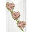 A serene cascade of three rose-filled hearts descends diagonally across a crisp white background, creating a tender and elegant funeral tribute. Each heart is carefully constructed from clusters of small roses in muted lavender and soft blush pink, the petals densely layered so that the shapes feel full, cushioned, and lovingly detailed. The lavender blooms bring a sense of calm and reflection, while the pastel pink roses introduce a note of gentle warmth, like soft words shared in remembrance. Fresh green ivy winds gracefully around and between the hearts, its slender stems and polished leaves forming delicate garlands that visually bind the three shapes together. This greenery adds a natural rhythm to the design, echoing the idea of life continuing, even in moments of farewell. The hearts appear to float in front of a bright, minimalist background, where subtle vertical reflections suggest glass or a smooth white wall, the sort of tranquil setting you might find in a Canonbury funeral chapel or memorial hall. There is no visible stand or base, so the focus rests entirely on the flowing progression of the hearts and their symbolic connection. The arrangement feels contemplative rather than dramatic, well suited to a service where family and friends wish to honour a life with quiet grace. Created with the sensitivity of a local Canonbury florist, it speaks of enduring love, treasured memories, and a farewell that is soft, sincere, and deeply personal.