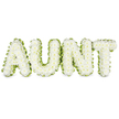 Here, the word AUNT is rendered as a dignified floral tribute, with each capital letter completely covered in compact white chrysanthemums that create a soft, velvety surface. The blooms are arranged so closely that they merge into one continuous field of petals, yet each individual flower head is still visible, contributing to a richly textured, cushion-like effect. Along the outer edge of every letter runs a neat band of bright green foliage or ribbon, folded into gentle ruffles that follow the straight lines and rounded corners of the lettering. This fresh green outline frames the snowy chrysanthemums and makes the word stand out clearly against the plain, light background, much as a patch of greenery stands out along Canonbury's quiet residential streets. The lighting is calm and diffused, without strong highlights or shadows, which enhances the sense of stillness and allows the creams and whites of the petals to appear soft and luminous. The letters are evenly spaced and aligned, forming a clean, balanced arrangement that would sit beautifully alongside other sympathy flowers at a church or crematorium. It feels like the work of a skilled local florist, perhaps created at Canonbury Flowers for a family farewell, where every stem has been chosen to express respect and affection for a much-loved aunt. The overall mood is gentle and contemplative: the pure white chrysanthemums symbolise remembrance and peace, while the green edging suggests life continuing, a quiet nod to the enduring connections that remain within a family long after a funeral has ended.
