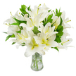 A calm, luminous bouquet of pristine white lilies fills the composition, arranged with the confident hand of a local florist and set in a clear, classic glass vase. Each trumpet-shaped bloom opens to reveal six broad, velvety petals of brilliant, paper-white, some with a whisper of creamy yellow at their throats that warms the centre without dimming the overall purity. From several blossoms slender stamens extend-pale greenish-yellow filaments tipped with earthy brown anthers-adding an unmistakable, natural punctuation against the white petals. Around the flowers, long, lance-shaped leaves of deep, glossy green thread through the arrangement, creating a lush, structured backdrop and a pleasing contrast that makes the whites appear even brighter. The vase's gently flared neck sits comfortably in soft, clear water; through it the pale green stems are visible, neatly trimmed and aligned, their submerged lengths catching and refracting light. The scene is bathed in soft, neutral illumination-suggestive of a quiet morning in Canonbury where the bouquet might sit on a sill by Canonbury Square or be carried from a stall on Essex Road-bringing a sense of serene ritual and fresh scent into a room. The flowers feel both dignified and intimate: appropriate for moments of remembrance and sympathy, yet also composed enough to grace a refined dining table or a restful sitting room. Tactile details are easy to imagine-the velvet of each petal, the slight textural grit of pollen on anthers, the cool glass under hand-and the overall impression is one of composed elegance, purity, and gentle comfort for anyone being told the bouquet's story.