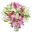 A stunning, lush bouquet of oriental lilies fills the frame, a confident pairing of creamy white and deep fuchsia petals arranged in a generous, rounded silhouette. The photograph is lit with bright, even light that brings out the satiny texture of each petal: the white lilies read as soft ivory with a whisper of yellow-green at their throats, while the pinks range from rose to true magenta with subtle lighter veins and occasional creamy centres. Many flowers are fully open, their broad trumpet or star-shaped faces revealing slender filaments and pollen-tipped anthers, while others sit as elegant elongated buds-promises of more blooms to come. Dark green, lance-shaped leaves weave between the flowers, their glossy surfaces creating a cool visual backdrop that heightens the petals' warmth. The stems are neatly gathered in a simple clear glass vase set at the picture's lower centre; through the transparency you can see the trimmed green stems and clean water, a quiet testament to freshness and careful floral handling. The arrangement reads as both modern and timeless: sophisticated enough for an anniversary yet gentle enough for a bedside table, its lightly sweet, evocative scent imagined as spring mornings in a city garden. A subtle sense of movement-petals inclined toward the light-gives the bouquet life and optimism. This image would suit pieces on gifting, seasonal flowers, or how to style lilies at home, and it conveys the careful craft of a neighbourhood florist bringing bright, living beauty into Canonbury homes and Georgian squares.