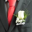 A close-up photograph captures the left lapel of a gentleman's charcoal grey suit, tailored with crisp lines that suggest he is dressed for a wedding or formal celebration in Canonbury. The fabric has a fine wool texture, with neat stitching tracing the edge of the lapel and a welt pocket just visible beneath. At the centre of the image sits a carefully crafted boutonniere: a single, creamy white rosebud, its petals tightly furled and velvety, glowing softly under even indoor light. Around the rose, little stars of white baby's breath form a delicate, cloudlike halo, their tiny blossoms adding gentle volume and romance to the design. Wisps of bright green foliage, some fine and feathery, others broader and deeper in tone, cradle the flowers and give a graceful sense of movement, as though a light breeze from nearby Canonbury Gardens had brushed past. The stems are bound and tidied at the base with a slim white satin ribbon, tied into a precise bow that lies smoothly against the suit. Behind the lapel, a vivid red tie, likely satin, adds a bold streak of colour, its sheen contrasting beautifully with the muted charcoal jacket and the subtle pattern of a pale, checkered dress shirt. The overall mood is one of quiet pride and anticipation, as if the wearer is a groom or cherished guest about to step into a ceremony on a leafy Canonbury side street, carrying on his jacket a small, fragrant promise of love, care, and new beginnings.