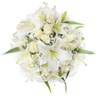 Seen from a soft overhead angle against a clean white backdrop, this impeccably round bouquet is a study in quiet whites: several broad, trumpet-shaped white lilies dominate the centre, their smooth petals curling back to reveal pale green stamens and the faintest dusting of pollen. Surrounding them are clusters of creamy ivory roses, most kept in tight bud or just beginning to unfurl, their velvety layers forming gentle spirals that catch the light with a satin sheen. Interspersed between the larger blooms are clouds of tiny white Baby's Breath (Gypsophila), its fine, lace-like sprays creating a frothy, weightless texture that fills negative space and softens the overall silhouette. A few fresh green leaves peek out at the edges, providing a fresh, living contrast to the monochrome palette and framing the bouquet's circular symmetry. The lighting is soft and neutral, lending each petal a luminous, almost porcelain quality and casting delicate, barely-there shadows that emphasise the arrangement's depth and meticulous construction. The scent is suggested rather than shown: the lilies' subtle sweet fragrance tempered by the warm, powdery aroma of cream roses, while the Baby's Breath lends an airy, meadow-like note. This composition reads as timeless and refined-equally suited as a bridal posy carried down a Canonbury aisle, a serene sympathy tribute, or an elegant centerpiece for a quiet celebration on Essex Road-conveying purity, calm reassurance, and gentle optimism through its harmonious textures and restrained colour story.