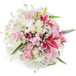 A sumptuous, tightly gathered bouquet of lilies, roses, and baby's breath appears almost to float against a stark white background, showcasing the skill of a Canonbury florist who has balanced drama with softness. At the centre and rising slightly above the rest, several white lilies open into generous, trumpet-shaped flowers, their petals pristine and luminous, gently curving outward to reveal subtle green throats and graceful stamens. Surrounding them, in a harmonious ring, are blush pink roses and creamy ivory roses, some in delicate bud form, others slowly unfurling into full, romantic blooms with layers of velvety petals that suggest a sense of lingering tenderness. Standing out from this pastel harmony, a handful of vivid fuchsia Oriental lilies, likely Stargazers, introduce a bold magenta tone; their wide petals show darker speckles and contrasting centres, with bright yellow anthers that lend a touch of theatrical flair. Interlaced throughout are countless tiny white flowers of baby's breath, forming a soft, misty veil between the larger blossoms and lending the bouquet a weightless, airy character. Fine green foliage and slender lily leaves appear at the edges, subtle yet essential in framing the mass of flowers and hinting at the stems that would be held in hand or nestled in a vase. The lighting is clean and bright, with no harsh shadows, making each bloom appear freshly cut and vibrant. This is the sort of bouquet one might send for same-day delivery around Canonbury, Mildmay, or Barnsbury to celebrate a wedding, a new baby, or a romantic anniversary, bringing a sense of joy, grace, and heartfelt emotion into any local home.