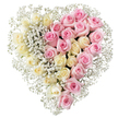 A striking heart-shaped floral arrangement is presented against a bright, white background, its colours and details rendered with gentle clarity. The heart is carefully divided into two even halves, symbolising a shared bond or two lives intertwined. On the left, a tightly packed field of creamy white to pale ivory-yellow roses dominates, each bloom shaped like a soft rosette, petals layered in smooth, rounded spirals that feel calm and serene. On the right, the same lush density appears in medium pink roses, their colour reminiscent of a gentle blush, with petals that curl outwards and create a sense of warmth and tenderness. Throughout both sections, tiny white sprays of baby's breath are threaded between the roses, filling small gaps and forming a fine, frothy border around the entire heart. The gypsophila clusters are most evident along the outer edges and along the central line where the two colours meet, giving the impression of a delicate lace trim framing the bicolour design. The composition is symmetrical and meticulously balanced, with no greenery or distractions, just the interplay of creamy neutrals, soft pinks, and the snowy texture of the baby's breath. The lighting is even and soft so that the heart appears fresh and newly made, as you might find in a Canonbury florist preparing a tribute for a funeral, memorial, or graveside farewell in one of the quiet corners of the area. Emotionally, the arrangement conveys both love and loss, making it a thoughtful choice for families wishing to send a final, heartfelt message of devotion and gratitude.