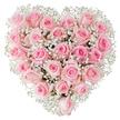 A perfectly formed heart of soft pink roses, photographed against a pristine white background so every petal reads like a quiet note of devotion. The composition is dense and luxuriously textured: dozens of pastel roses packed tightly together, their shades graduating from a whispering blush at the petal edges to a slightly deeper rosy tone toward the centre of each bloom. Some flowers sit as gently furled buds, others open to reveal spiralled layers of satiny petals, creating a pleasing rhythm of round shapes and delicate shadow. Scattered through this cushion of pink, tiny clusters of white baby's breath (Gypsophila) float like lace or mist, their airy, cloud-like inflorescences brightening and defining the heart silhouette. The lighting is bright and even, emphasising the freshness and velvet touch of the rose petals while the stark background allows colour nuances and the arrangement's symmetry to read clearly. There is a subtle scent implied - a cool, tea-rose sweetness that feels both tender and composed - and a sense of calm intimacy, as if the bouquet were a private token brought across the threshold to a loved one in Canonbury on an early spring morning. This heart-shaped design speaks of romance, gentle anniversaries, or quiet consolations, suitable for occasions from weddings to thoughtful remembrances. As a local florist might note, the careful placement of each bloom shows craft and reverence for the language of flowers, creating an image that is at once decorative and deeply personal for anyone sending affection within the neighbourhood.